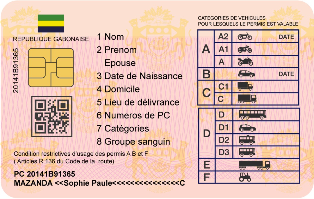 Permis modèle 1 verso